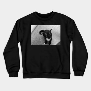 Sox Crewneck Sweatshirt